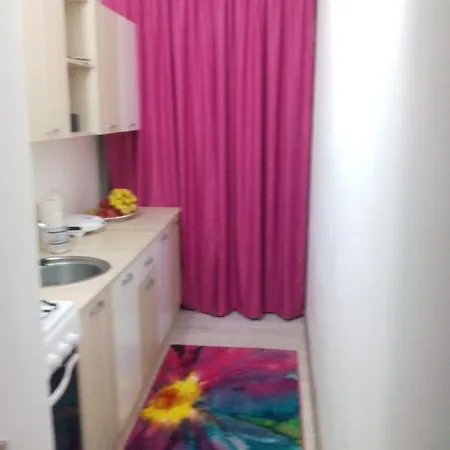 Apartament Elena 公寓 *