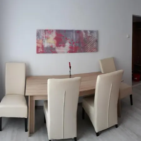 Apartament Elena 公寓